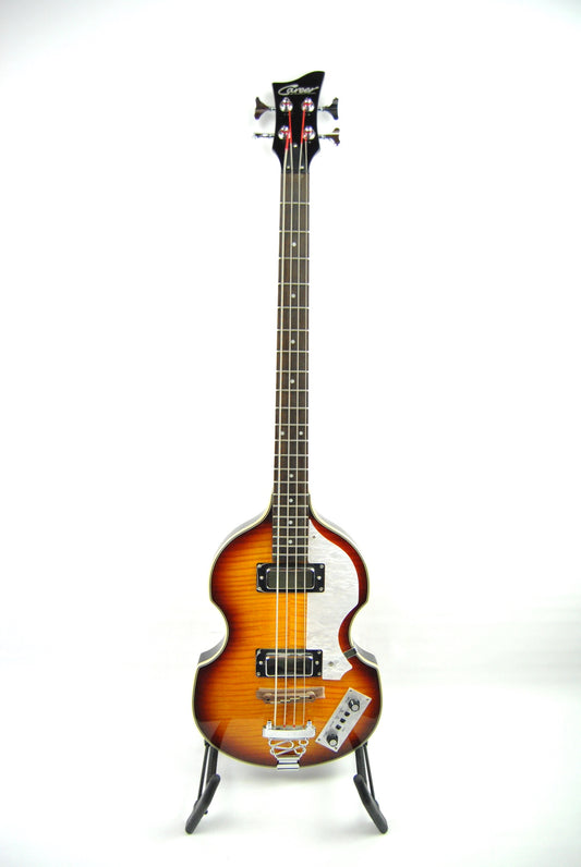 Career Violin Bass