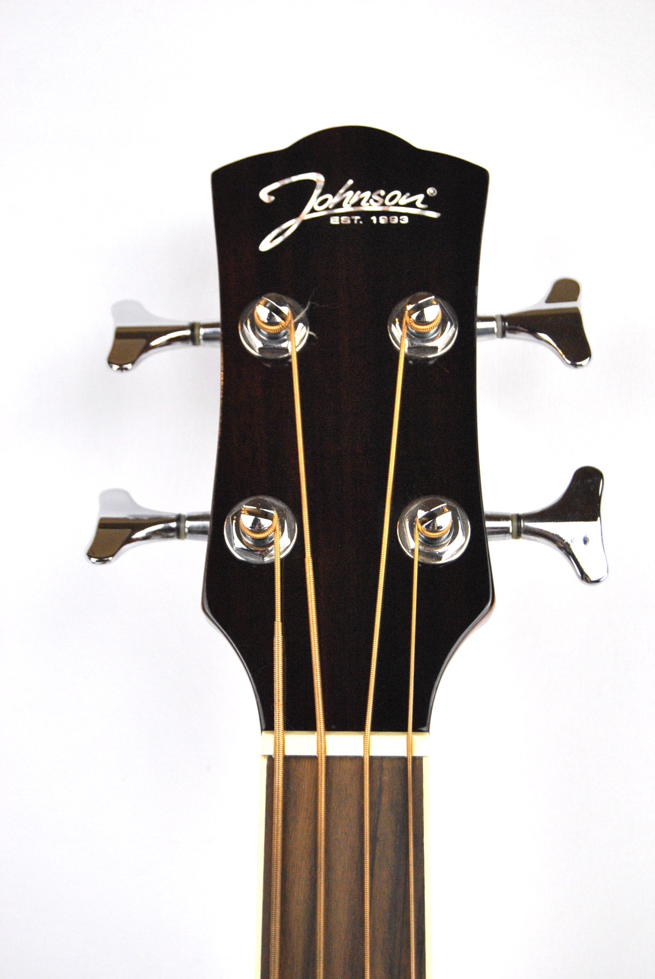 Johnson JBH Fretless