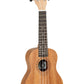 Tanglewood TWT-1