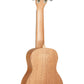 Tanglewood TWT-1